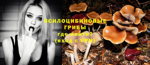 ешки Балахна