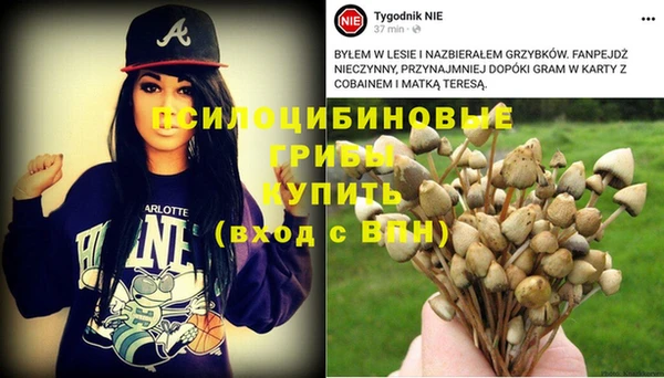 ешки Балахна