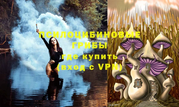 не бодяженный Пересвет