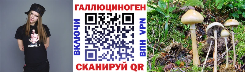 сколько стоит  Кумертау  Псилоцибиновые грибы Cubensis 